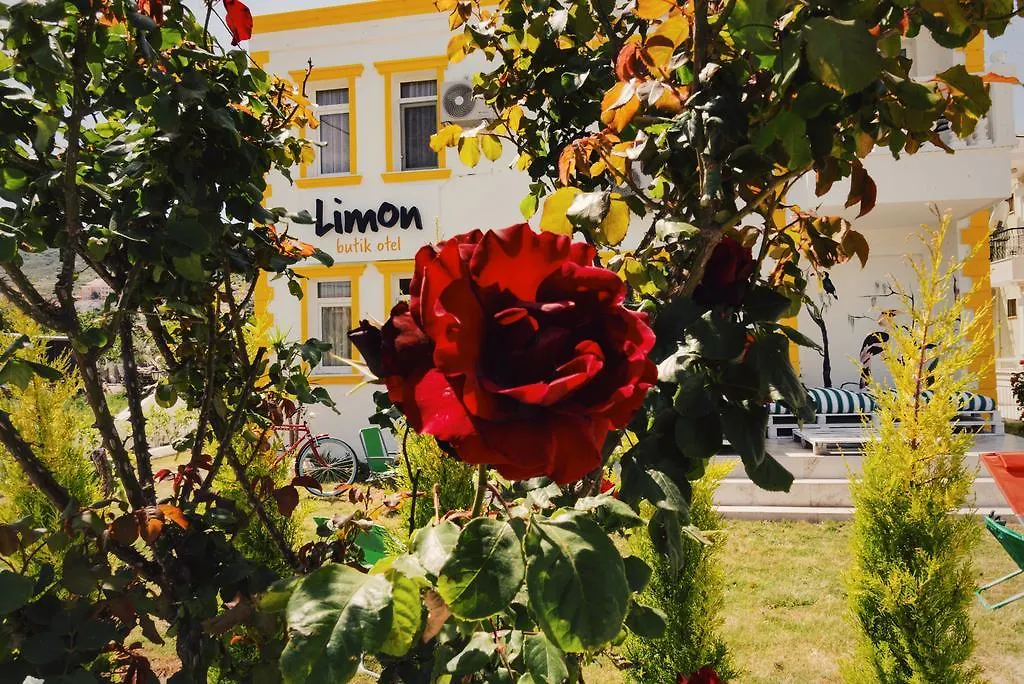 Limon Pansiyon Foca Turkey