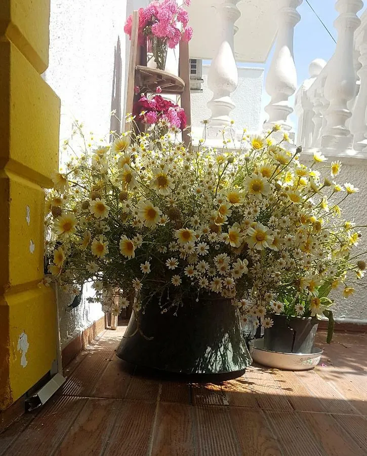 Limon Pansiyon Foca Bed & Breakfast